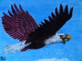 Eagle in Flight